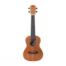 우쿨렐레 초보자용 음악 교육 뮤지컬 하와이 콘서트 감성, 520C-Pro 23인치