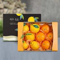 명절선물 명품제주 프리미엄 한라봉+레드향 선물세트 2.5kg 중과