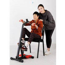 어르신 사이클 앉아서타는 자전거 노인용 시니어 운동 기구 할머니 미니 실내 자전거, DB008-1