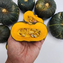못난이 미니단호박 3kg / 미니밤호박 어글리채소 보짱 보우짱