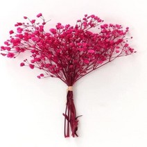 부케돔 미니 건조 아기 숨결 아이보리 흰색 꽃다발 헤어 웨딩 테이블 홈 크리스마스 가을, 5.Pink - 100g