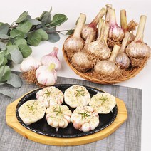 [푸르젠] 충남 서산 난지형 마늘 (짱아찌용), 1개, 3kg(특대)