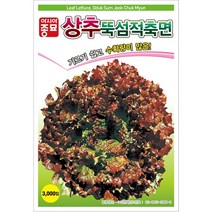 뚝섬적축면상추 3000립 상추씨 씨앗 대장 아시아종묘