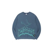 국내발송- 크리틱 EMERGENCY LANDED ALIEN SWEATSHIRTS 블루118288