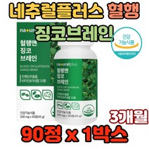 네추럴플러스 혈행 앤 징코 브레인 노화 심장건강 뇌건강 염증감소 고산병 ginkgo 빌로바 감소 플라보놀배당체 비타민 효능 추천 성능 효과 가격 은행잎 추출물 은행나무 혈행개선