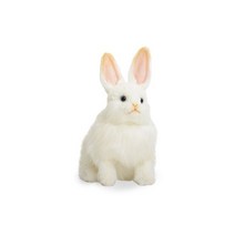 [한사토이] 7707 눈토끼 동물인형/25cm.H, 상세 설명 참조