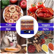 350W 식품 탈수기 온도 제어 8 쟁반 육포 한 고기 야채 대 과일 건조기, 07 KR_01 110V
