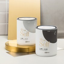 KCC페인트 숲으로셀프 철재용 0.9L 현관문 대문 샷시 난간 / 친환경 수성 DIY, 색상선택, 살구2, 900ml, 1개