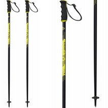 FISCHER 스키폴 1920 RC4 PRO