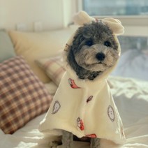 강아지 극세사 기모 망토 담요 유모차 이불 수면잠옷 방석 숄 후드, 블루