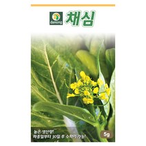 근대 10g 근대씨앗 근대씨 야채씨앗 야채씨 채소씨 채소씨앗, 22_다농_채심(5g)