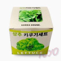 투요 상추 키우기세트 집에서상추키우기세트 야채키우기 식물키우기키트