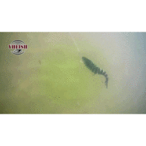 4D루어 꺽임루어 분리형루어 관절루어 하드베이트 배스루어 농어루어, 2