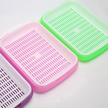 33X24.5CM 새싹재배기 판 1개 실내 채소 씨앗키우기