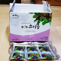 뽕사랑 오디즙 100ml