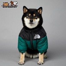 2023 SUPREPET패딩 개 겨울 옷 따뜻한 방풍 솔리드 코트 코튼 디자이너 대형 강아지 액세서리, green+XXXL