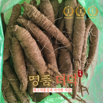 명품 더덕 국내산 강원도 정선 산더덕 야생 제철 생더덕 겨울더덕 국산 선물세트오늘출발, 500(중15~20뿌리), 1개