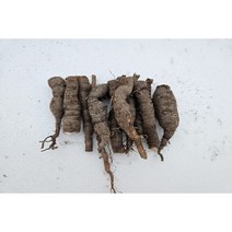 백하수오 절단종근 50 개