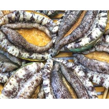 꿀꿀도매 완도 활전복 7~25미, 1개, 1kg 20미