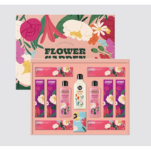 [애경 선물세트] 종합 셀렉션 E-1호 x6개 (1BOX), 6세트