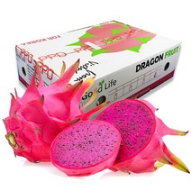 빨간과육 베트남 레드용과 9-10과 5kg, 단품