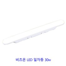 비츠온 일자등 LED 30w 사출2등 주광색(흰빛)