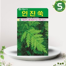 솔림텃밭몰 인진쑥씨앗 1000립 인진쑥 꽃씨앗 꽃씨 야생화, 1개