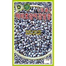강낭콩 제비호랑이줄강낭콩 30g/도시농업용채소/가정원예용채소/텃밭용씨앗
