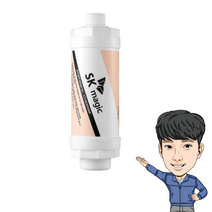 정품 sk매직 비데 필터 BID085DS26, BID085DS26 1개