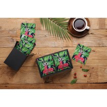 Large 11g 스페셜티 드립백커피 담기/ 5종, 블랜드 노스트리