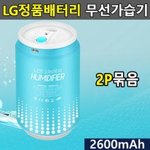 LG셀채택 충전식 무선가습기 2P 안방 거실 추천