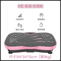 홈트 운동기구 덜덜이 장윤정 해방타운 소유진 진동운동기 가정용 음파 진동기 다이어트 웨이브 보드 진동마사지 전신 진동 운동기 홈트레이닝 중력 가속 운동 39, B 타입  노멀  로즈 파우더  99 줄  지압