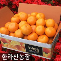 한라산농장 천혜향 10KG 5KG 농장직송 홍보용, 천혜향 10KG 중과 40~55과수