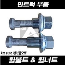 만트럭 휠볼트 휠너트 / MAN TGX TGS TGM 호일보도, 휠볼트/너트 세트(후)