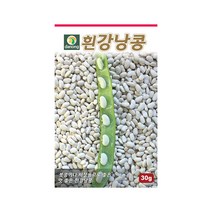 넝쿨성 흰강낭콩 씨앗 30g 풋콩 저장용 흰색 강낭콩, 1개