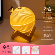 가습기 미니 음소거 야간조명 소형 실내용 아로마 침실, Lark  표준 패키지  플러그인 버전