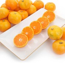 더조은푸드 제주위미농협 대과 노지감귤 2.5kg, 없음