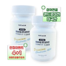 프리미엄 콘드로이친 1200 상어연골 콘트로이친 콘드로이틴 뼈 연골 무릎 관절, 06. 6박스 x 60정 (6개월분)