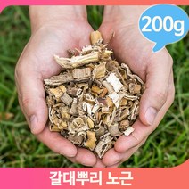 한방 약초 노근 200g 갈대 뿌리차 한약재 건강 건조