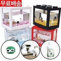 국산정품 블럭 어항 대크기 마리모 키우기, 레드블럭[핑크]