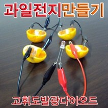 일음쇼핑^^*m향앤미과학 과일 전지 고휘도 발광 다이오드 1인용 실험교재 키트 만들기교구 교육용 학습 만들기일medi^*^, ab*^^선택없는