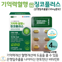 기억력 혈행 징코플러스 은행잎추출물 나이아신 아연 판토텐산 징코 식약처인증, 4박스, 500mg x 30정