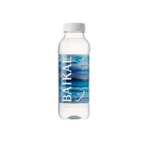 바이칼워터, 450ml, 48개
