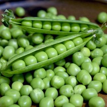 국산 완두콩 햇 완두콩 1kg 2kg, 깐 완두콩 1kg(냉동)