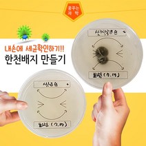 일반세균검사 한천배지만들기(스티커포함)/10개세트 (HS)문구용품 장난감 문구도매 학습준비물 만들기용품 DIY용품 공예 완구, 본상품