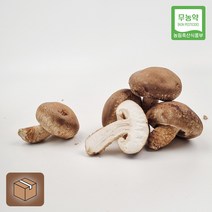 강원도 강릉 솔송고버섯 1kg 송이맛표고, 1개