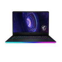 MSI 2021 GE76 Raider 17.3, 코어i7 10세대, 512GB, 16GB, WIN10 Pro, GE76 10UH