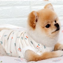 해피앤퍼피 강아지옷 오가닉 실내복 조끼 잠옷 내복 노령견옷 커플룩 애견옷 봄 여름 가을 겨울 XS-3XL, 체리썸