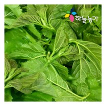 하늘농가 순수국산 뽕잎 50gX1팩 나물선물세트, 상세 설명 참조