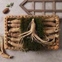 [가재골]송순영 생산자의 인삼 선물세트 750g 12-15개, 없음